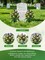 2 Pack Yellow and Purple Artificial Cemetery Flowers with Vases - 24-Stem Large Rose Memorial Bouquets for Graves - Fade-Proof and Wind-Resistant Outdoor Headstone Decorations - All-Weather Tribute